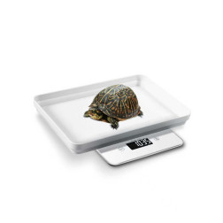 Balança Digital Veterinária Para Filhote Au-AuMedy